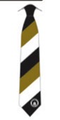 Edinburgh City FC Club Tie