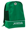 Barrow Celtic Training Bag